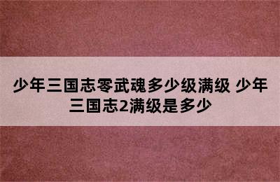 少年三国志零武魂多少级满级 少年三国志2满级是多少